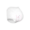 Absorbent Menstrual Underwear for Women – Leak-Proof Design with High Absorption Capacity