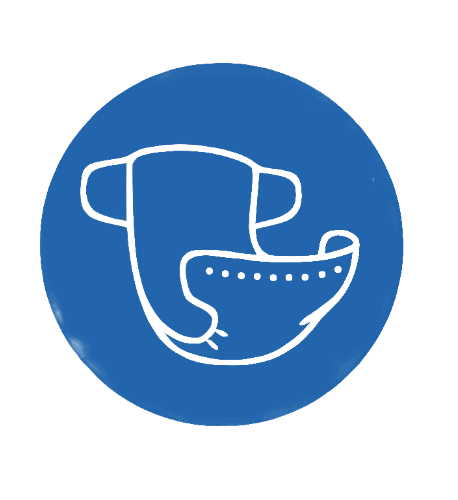 Corporate Overview
